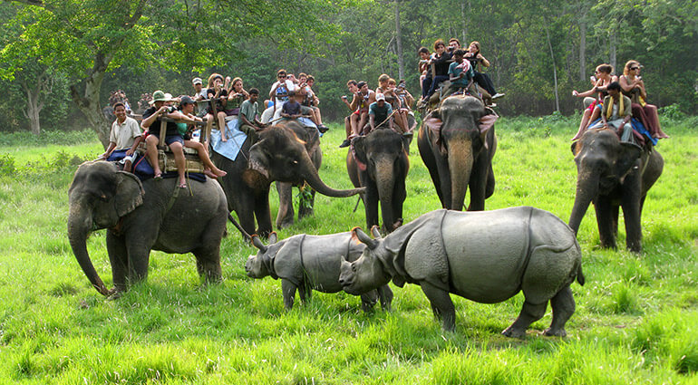 Tourists attracted by ‘Ghumau Sauraha’ campaign