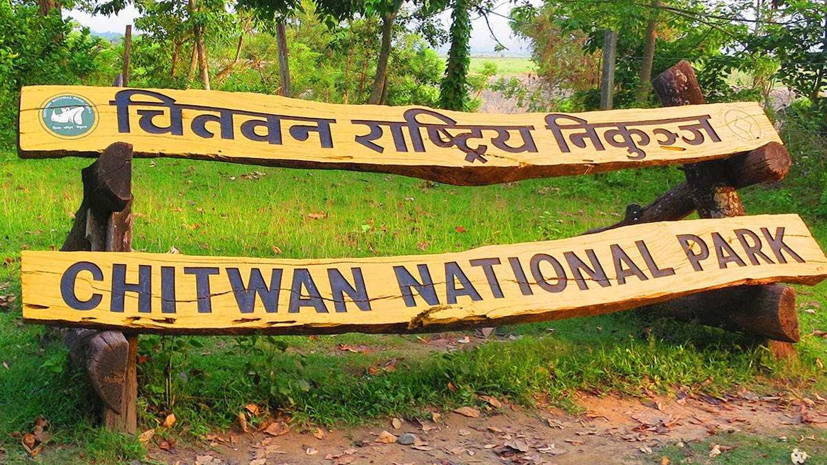 Tiger & Rhino found dead in Chitwan National Park