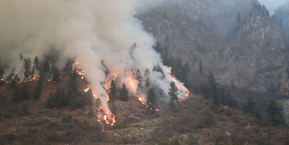 More incidents of forest fire recorded in Parbat