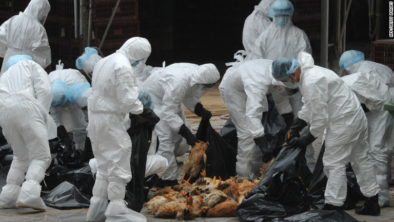 Bird flu detected again in Kathmandu