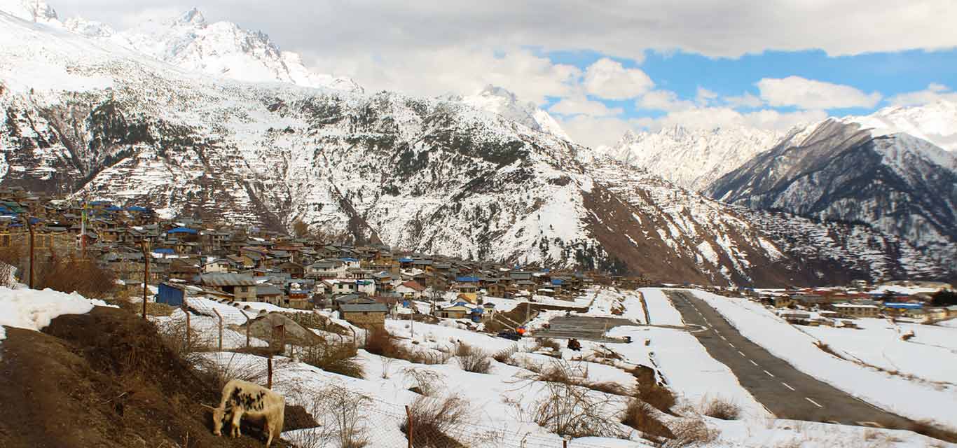 Excessive snowfall with rain kills 50 sheep and goats in Ranikharka