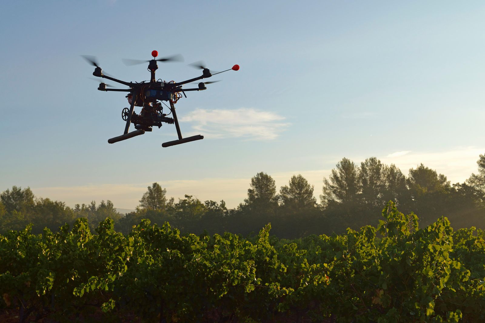 Drone cameras being used to monitor forest