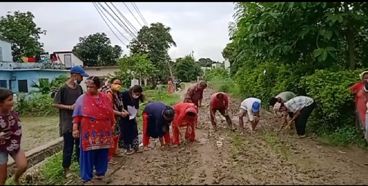 Paddy was planted on the road in Dhangadhi