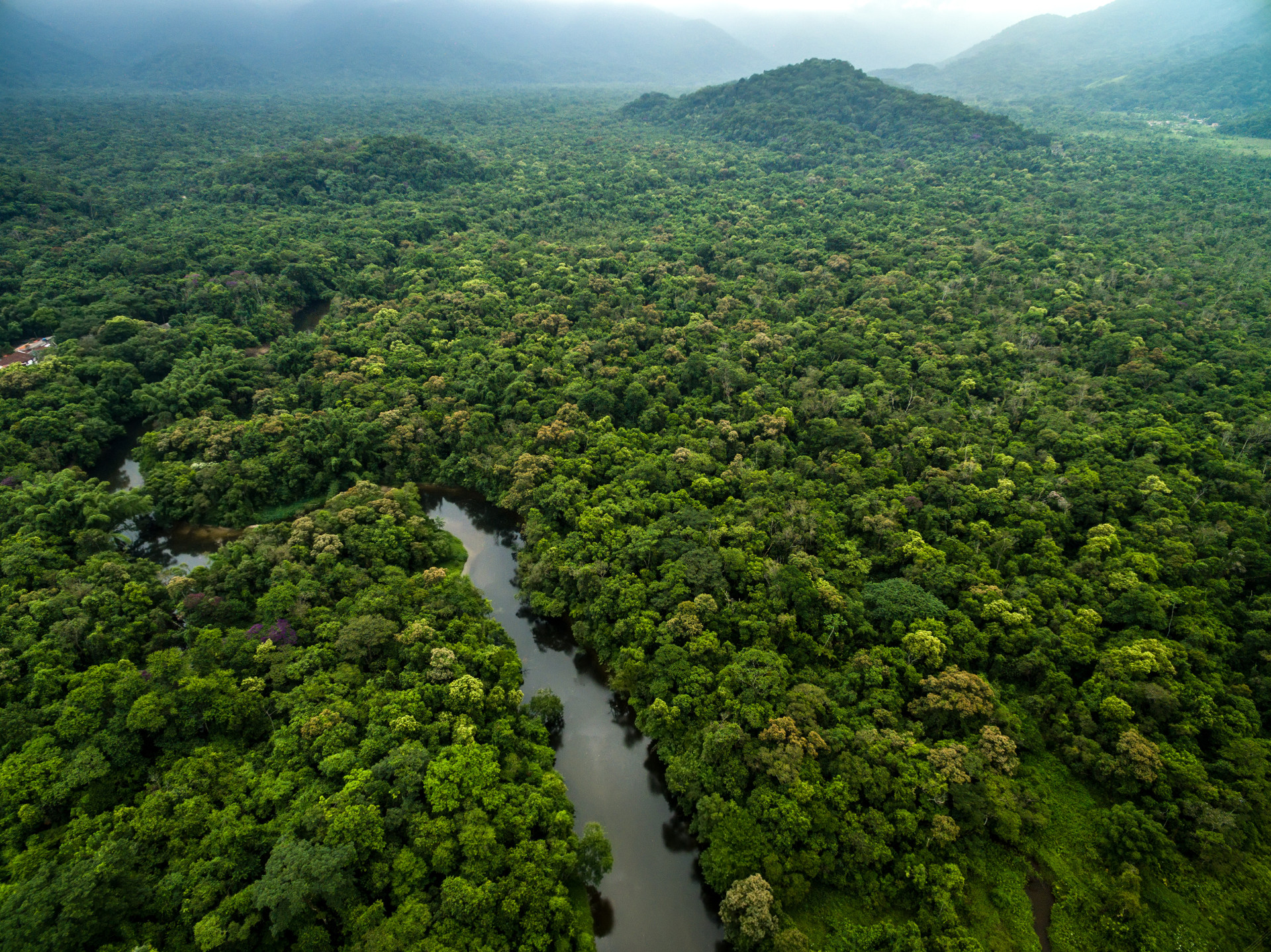Brazil to redeploy troops to Amazon to fight deforestation