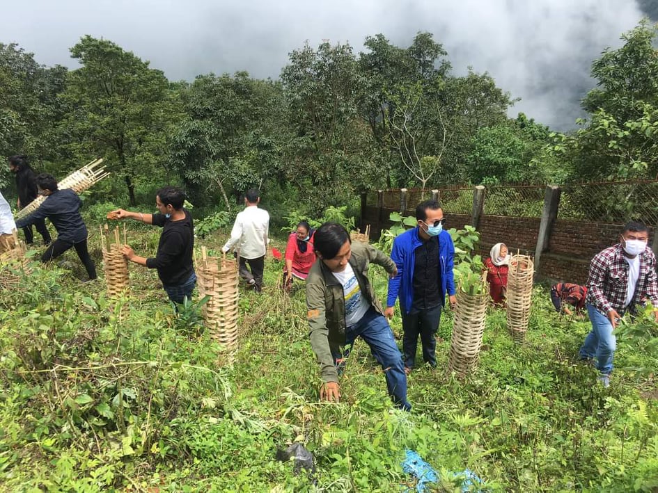 Ten thousand tree saplings planted in Sunsari