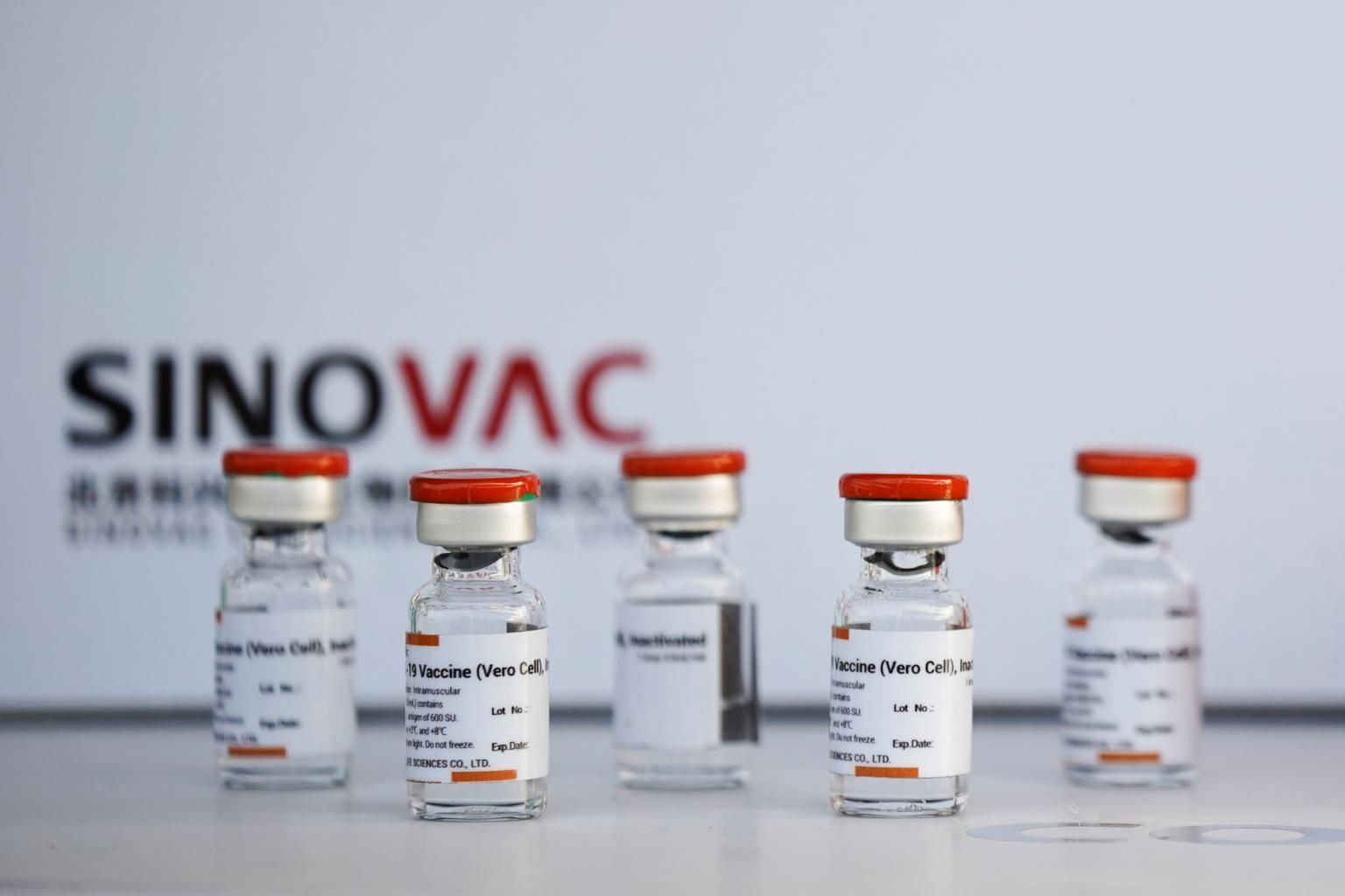 Sinovac COVID-19 vaccine widely accepted in South Africa