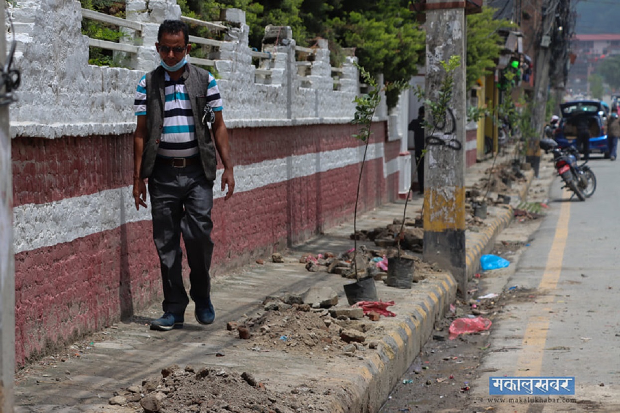 Plants on narrow roads, problems for walkers [Photos]