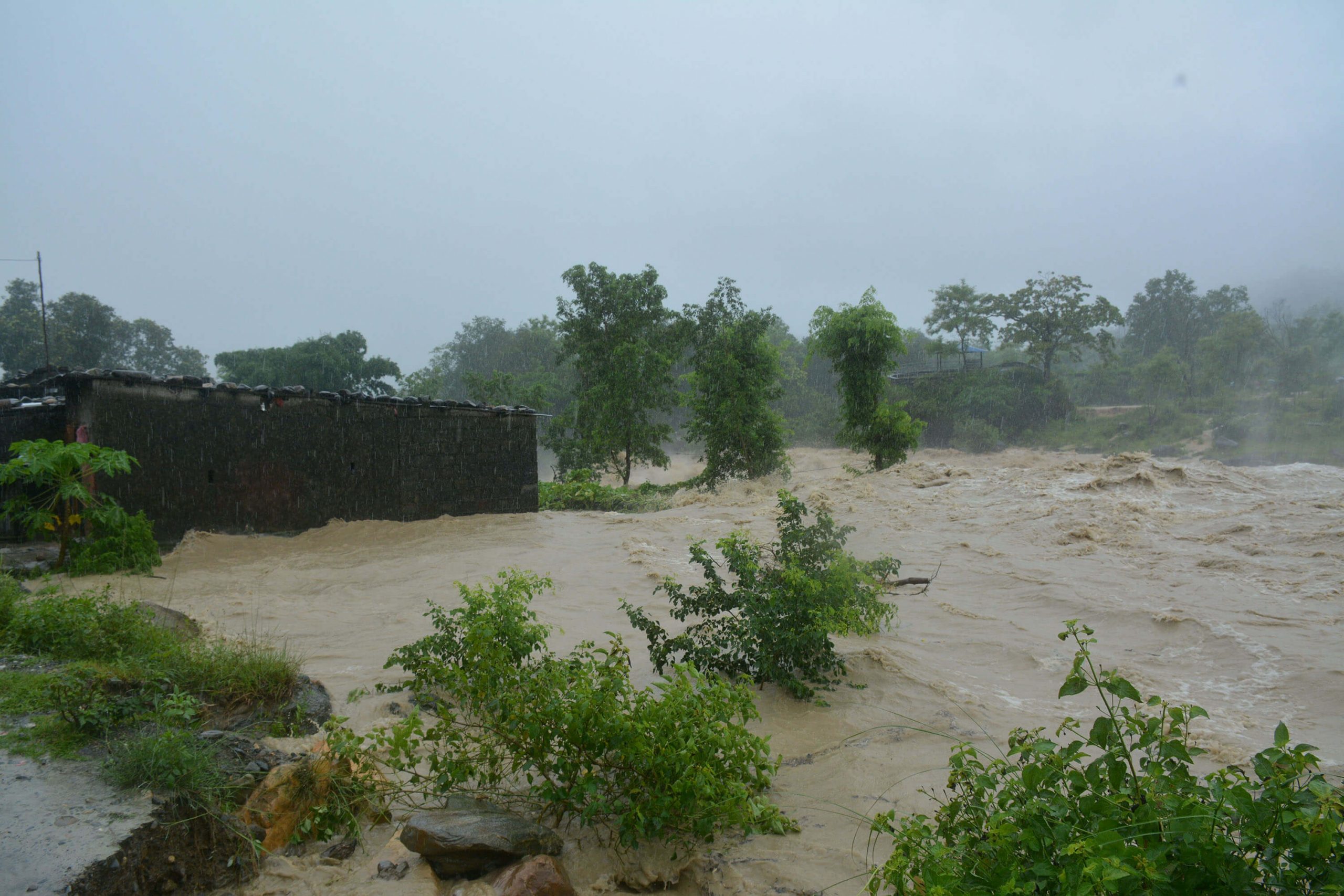 Heavy rainfall in these terrain, risk in Sauraha
