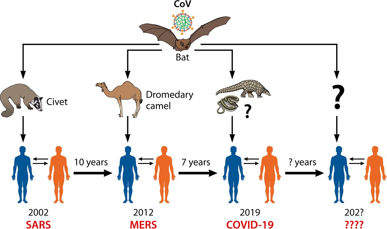 Researchers in the US are investigating the possibility of COVID-19 transmission from animals to humans: media