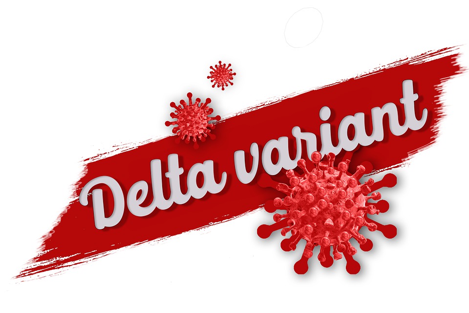 Delta variant of coronavirus detected in Chitwan