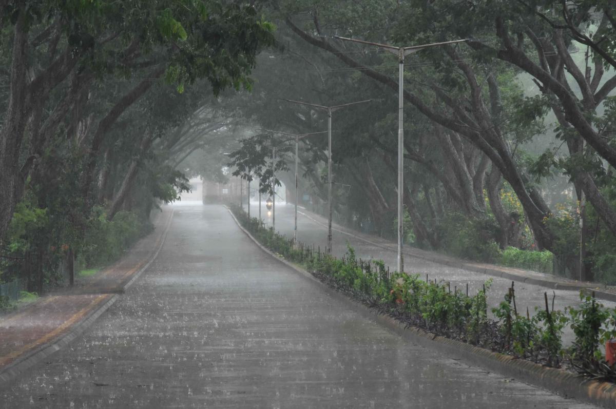 Monsoon to be active from Saturday