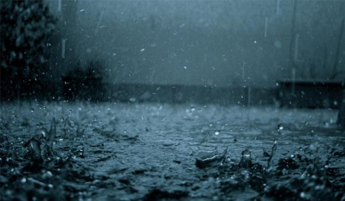 Monsoon active again: Possibility of heavy rains in these states