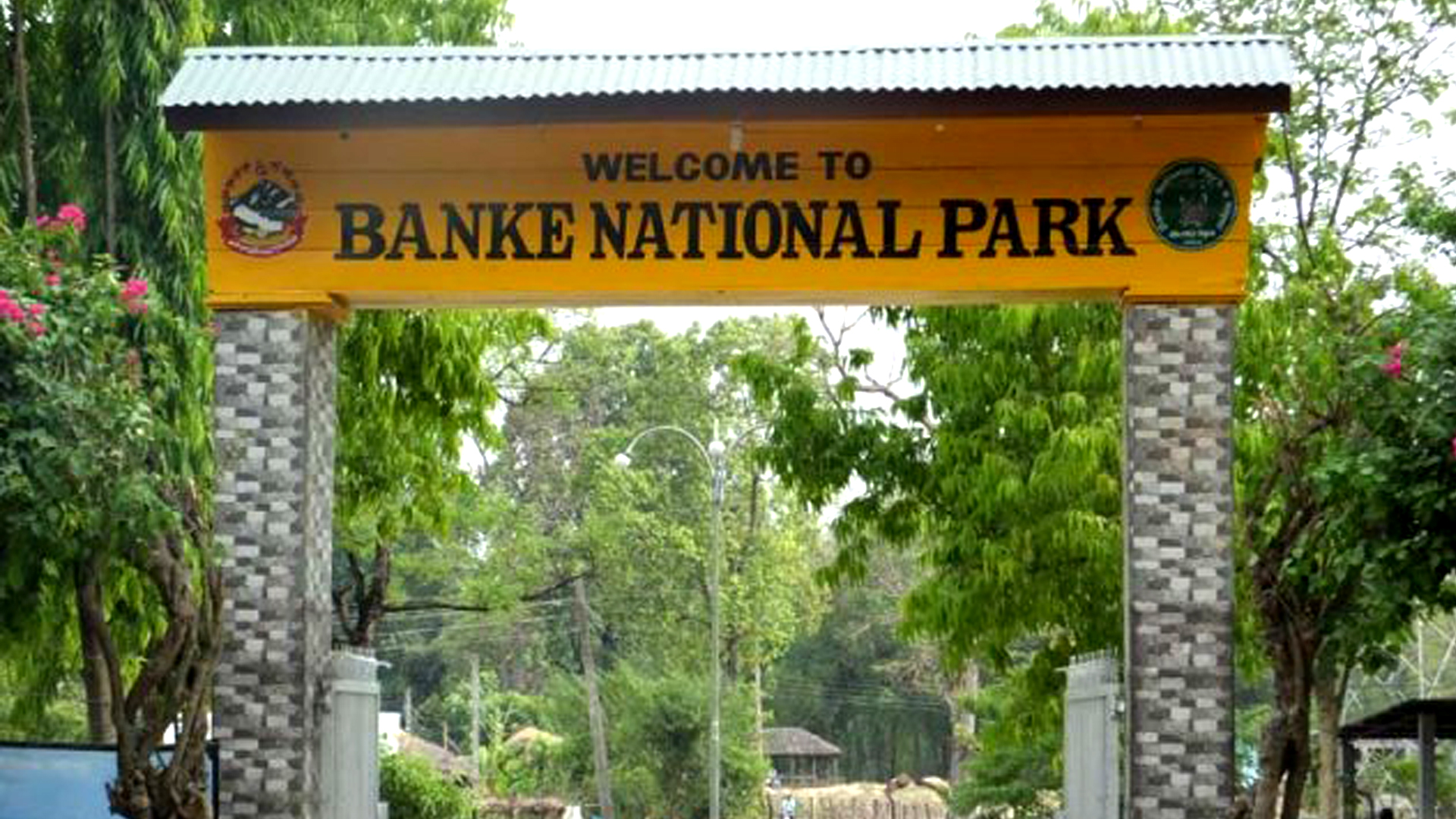 Speeding vehicles kill 358 wild animals in Banke National Park