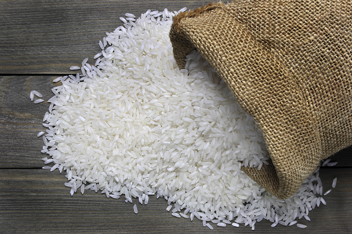 NARC and IRRI to partner in Hybrid Rice Technology Transfer Project