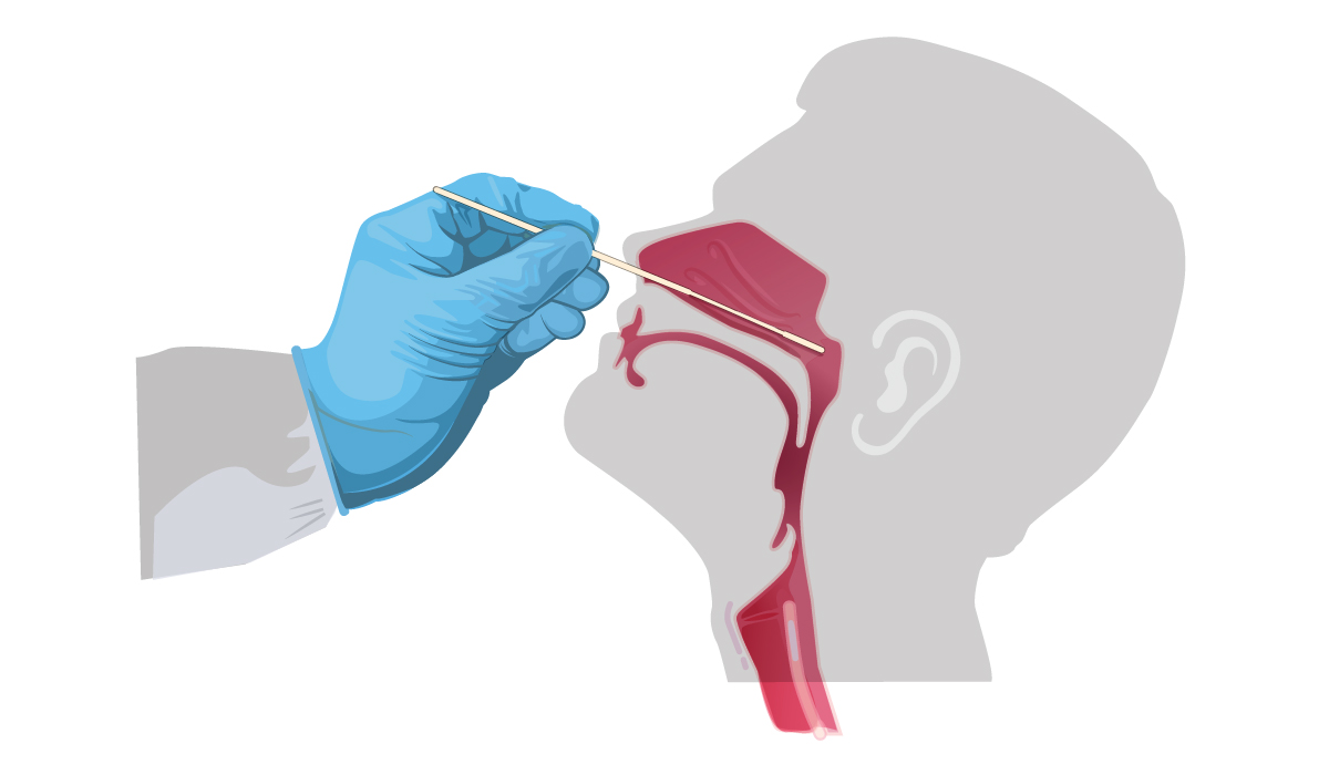 COVID-19: What is the risk of coronavirus infection in vaccinated people, even without a mask?