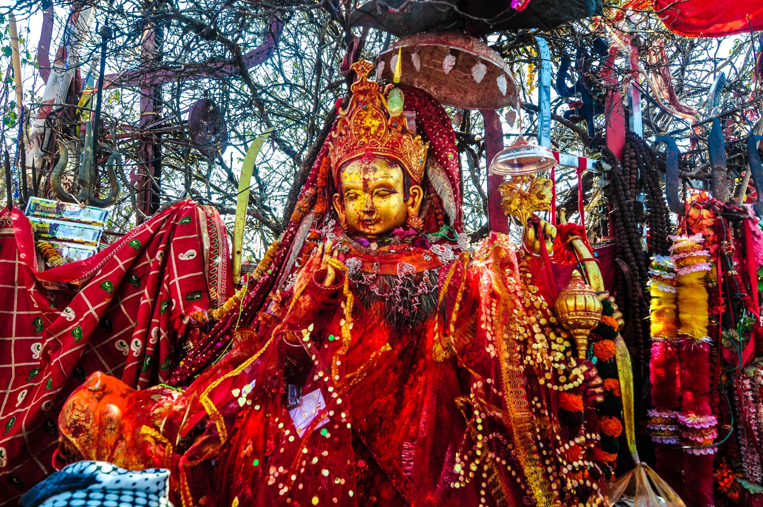 Pathibhara temple reopens