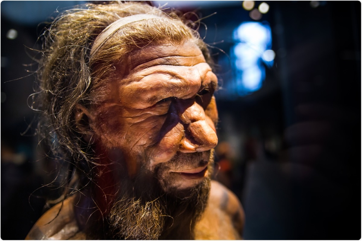 Here’s what we know sex with Neanderthals was like