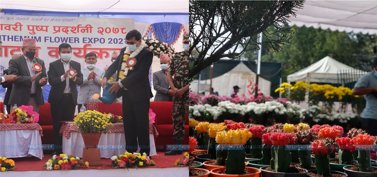 Flower Fair begins [Photos]