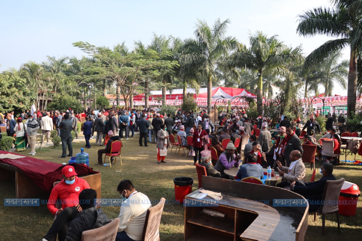 UML Election environment in Sauraha [Photos]