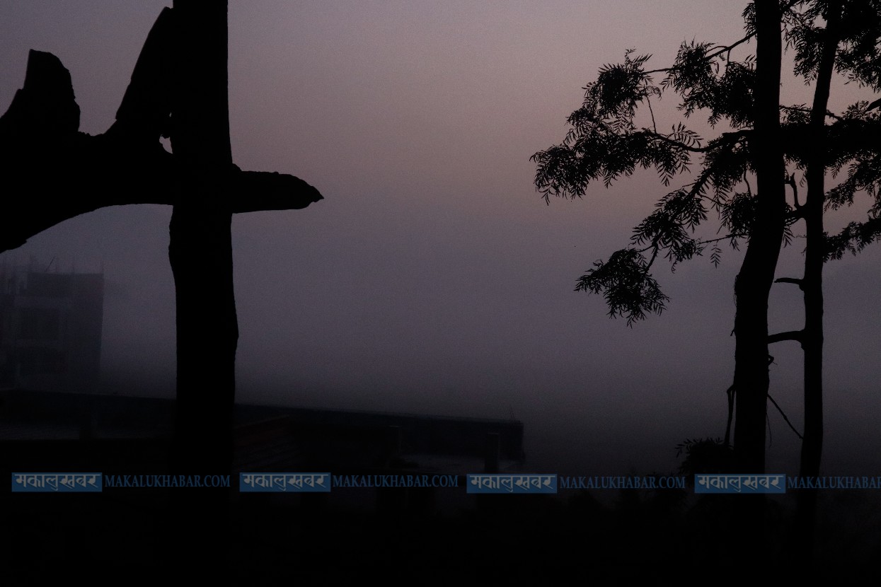 Fog has begun to fall throughout Valley [Photos]