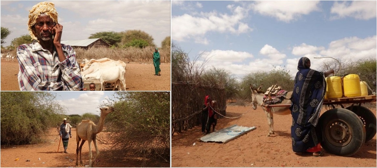 ‘We will all die’: In Kenya, prolonged drought takes heavy toll