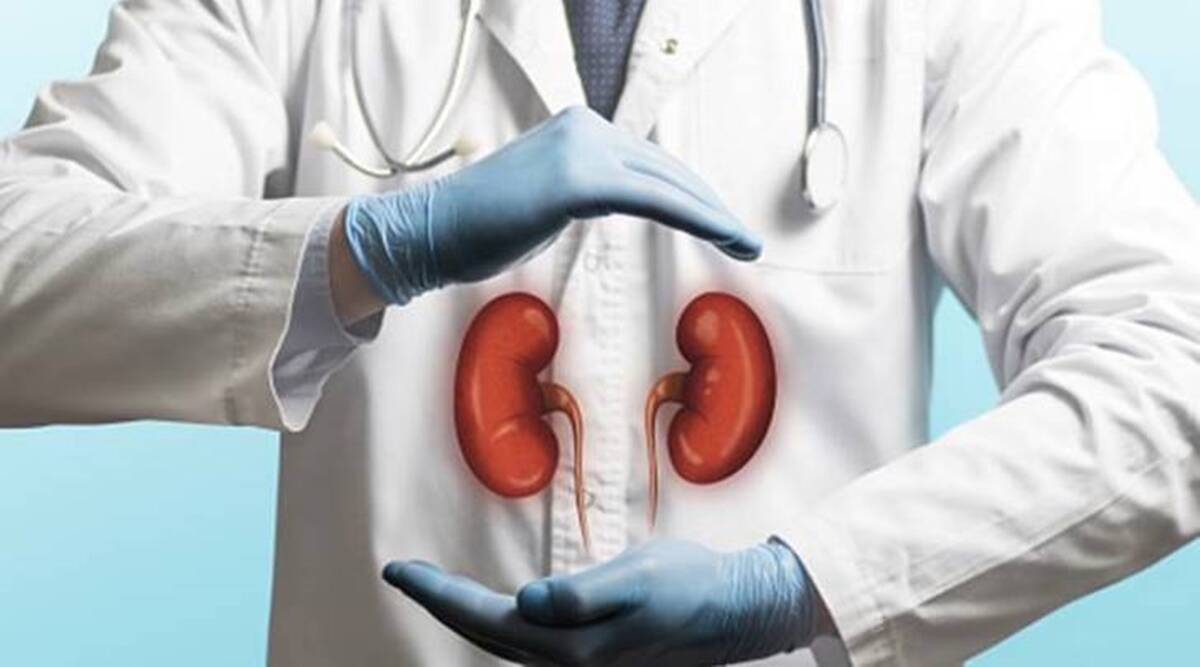 Kidney Transplant Centre transplants 800 kidneys in 9 yrs