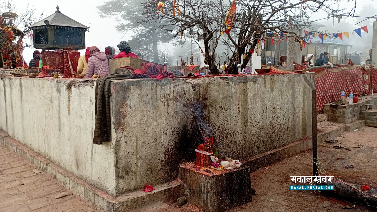 Over Rs 13 million cash offering collected in Pathibhara Temple in six months