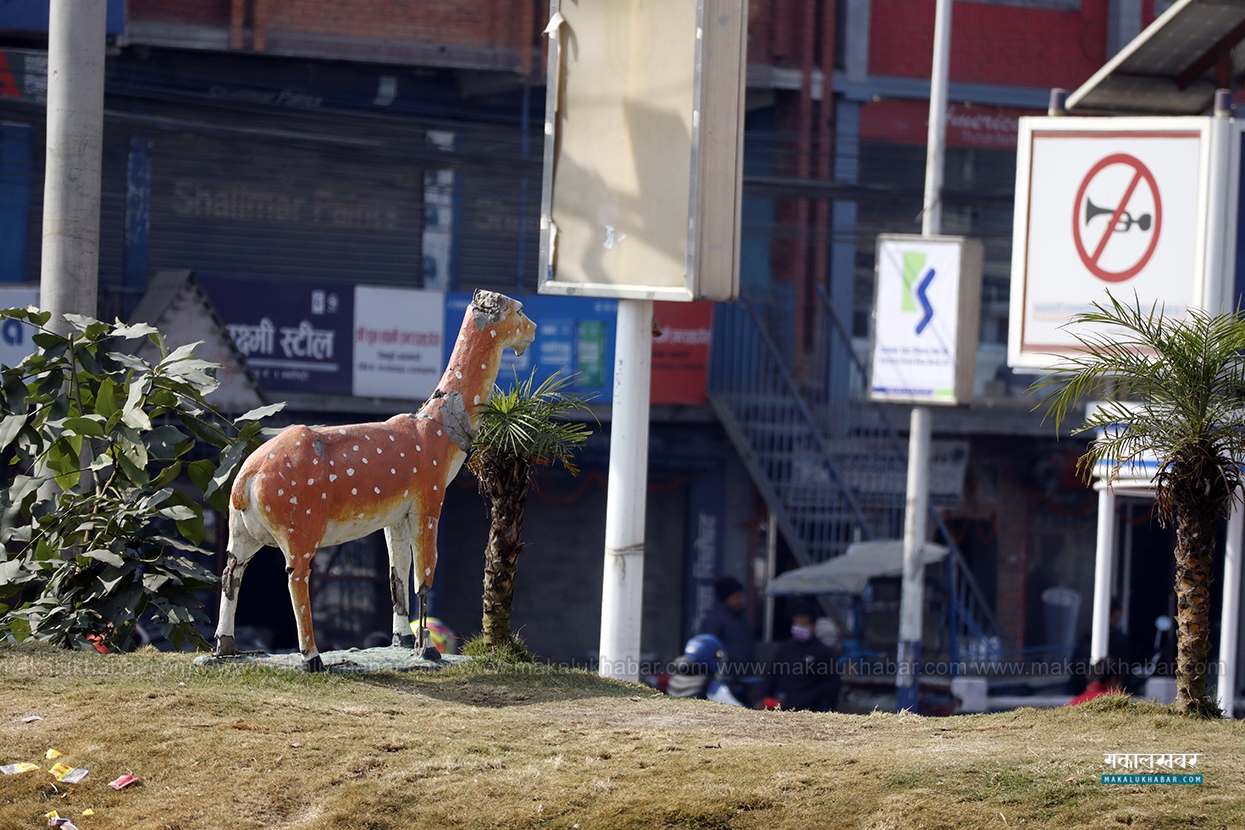 Tinkune Park deteriorated into a grassland [Photos]