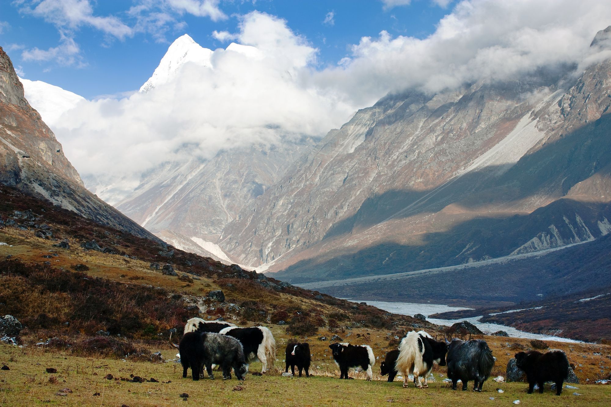 Langtang national park distributes relief amount of Rs 4.8 million