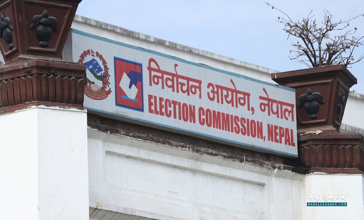 Date of local elections should be announced within first week of Jan