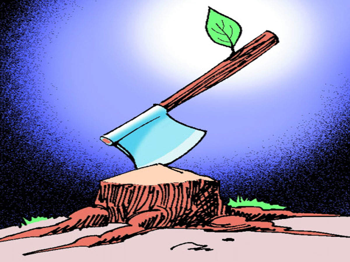 Trees being chopped for Muglin-Pokhara road expansion drive