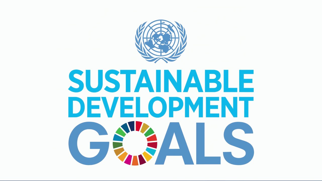 SDGs localization training for local governments concludes