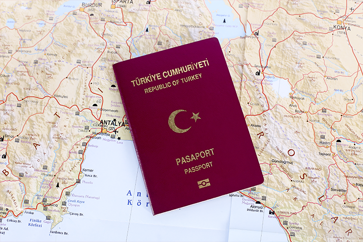 Over 190,000 Syrians granted Turkish citizenship by end of 2021
