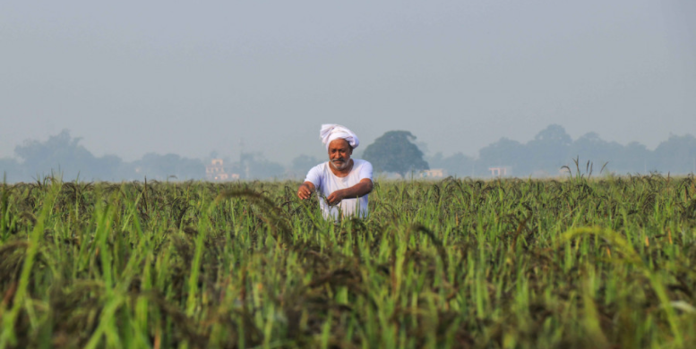 How Nepal, a country of farmers, became a food importer over the years