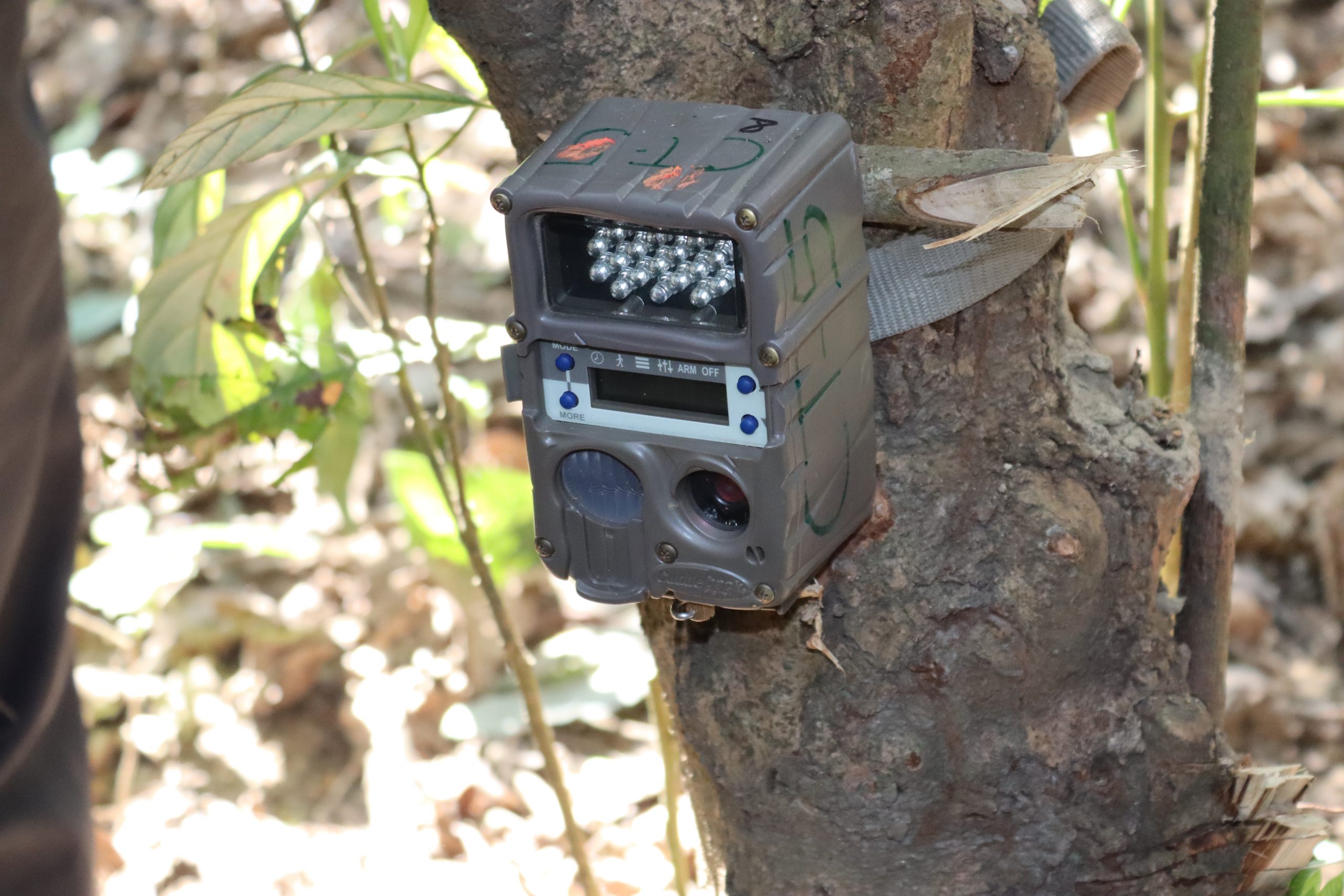 23 cameras meant for tiger census stolen and damaged