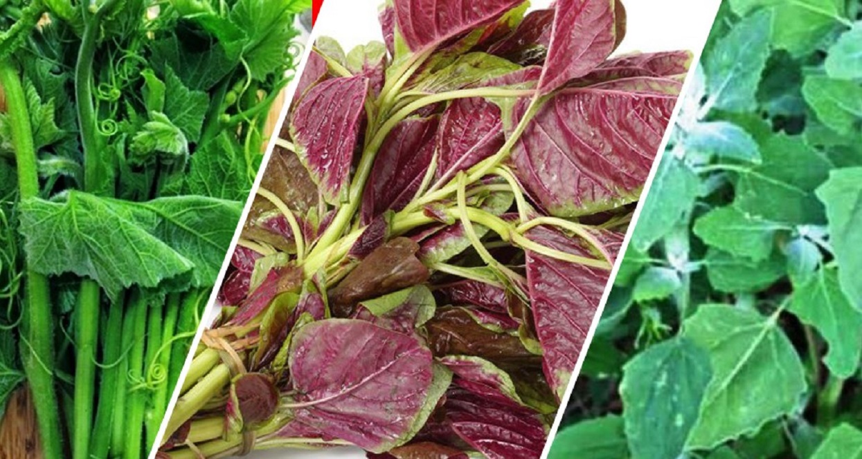 Why eat green leafy vegetables even in the winter?