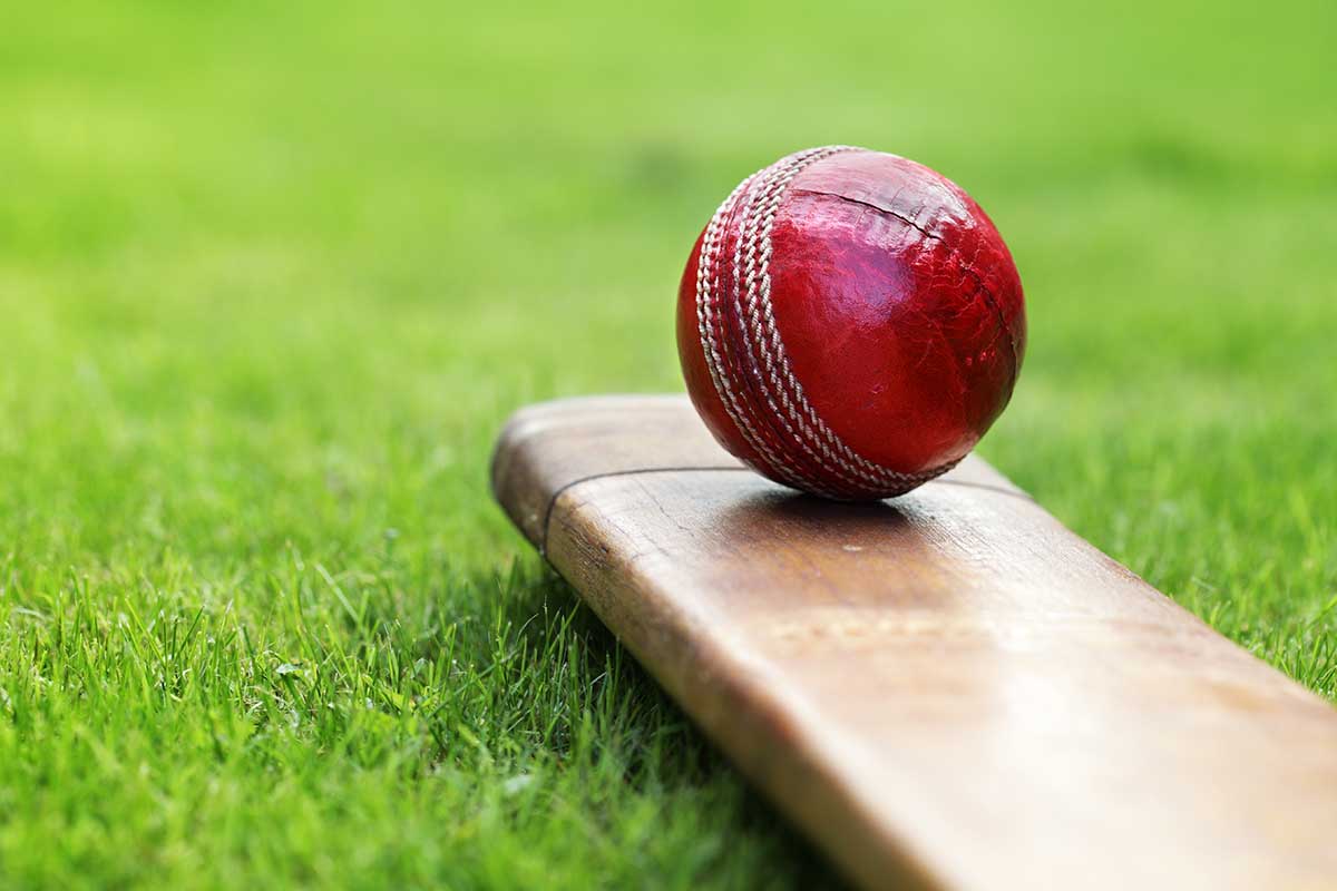 Bharatpur Mayor Cup Cricket taking place today