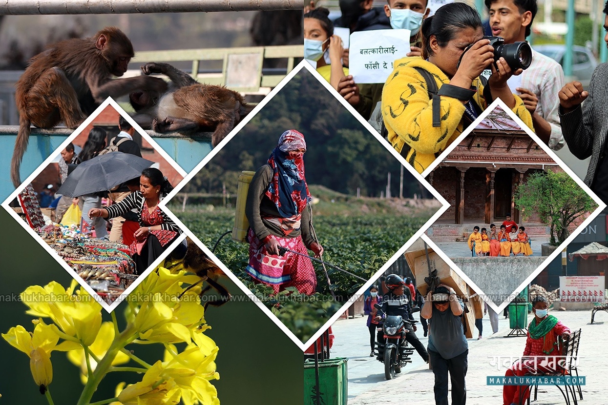 This week’s top seven images