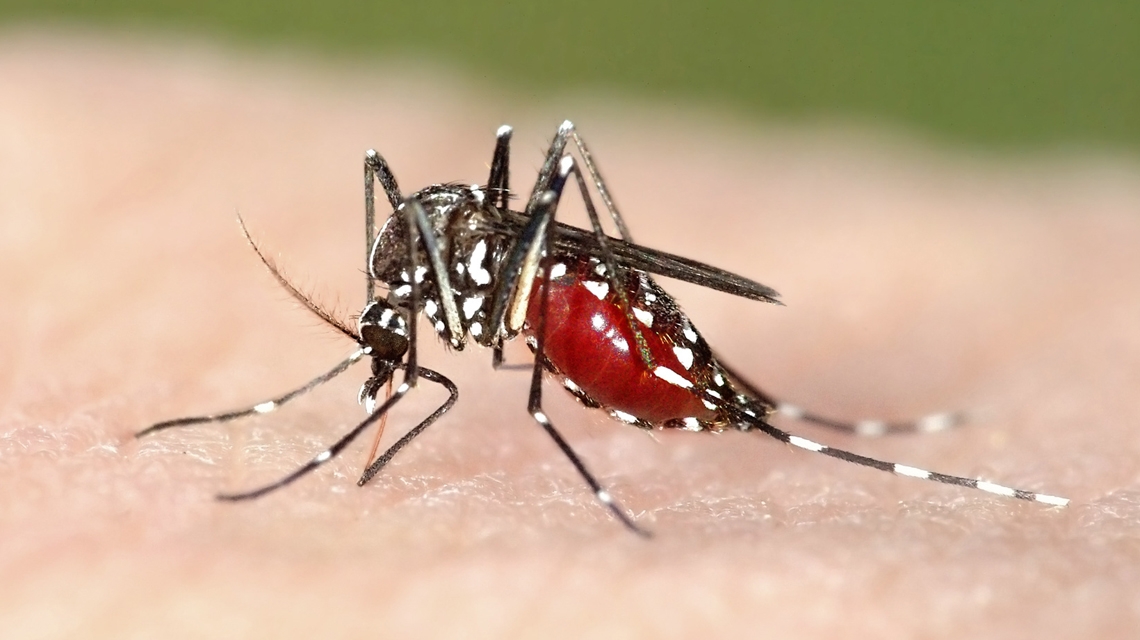 Diseases climb up mountains as climate warms