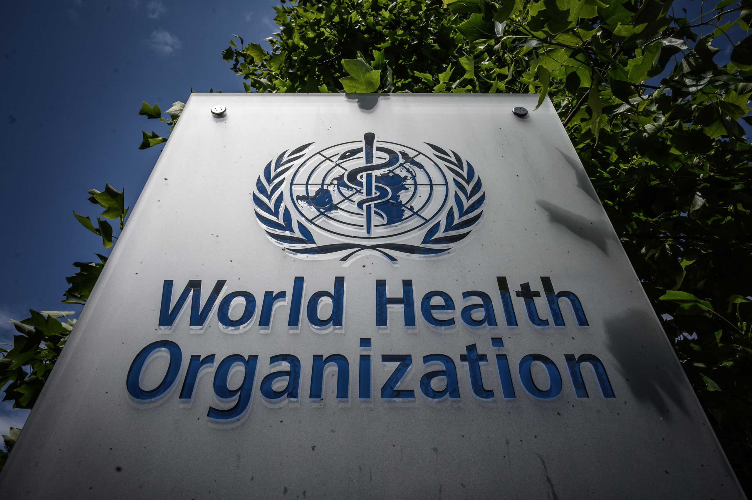 WHO in W. Pacific urges action to end tuberculosis by 2030