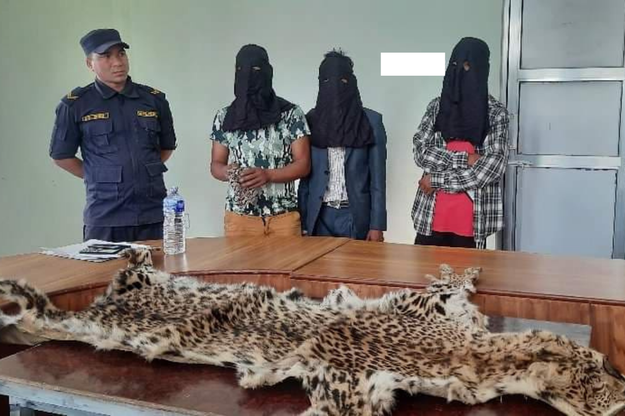 Three nabbed along with leopard skin