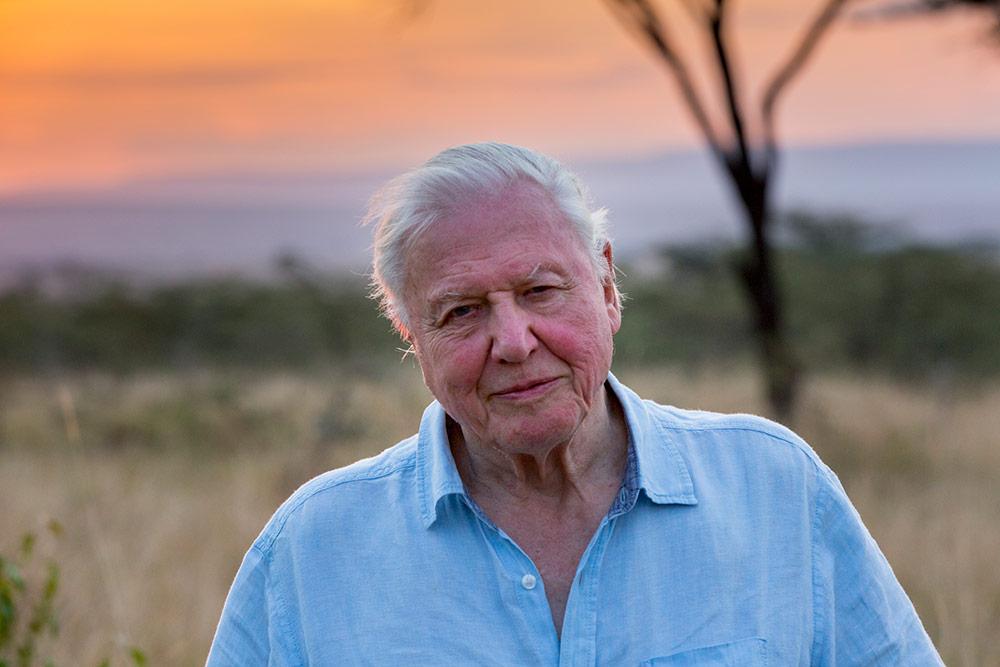 Sir David Attenborough named Champion of the Earth by UN