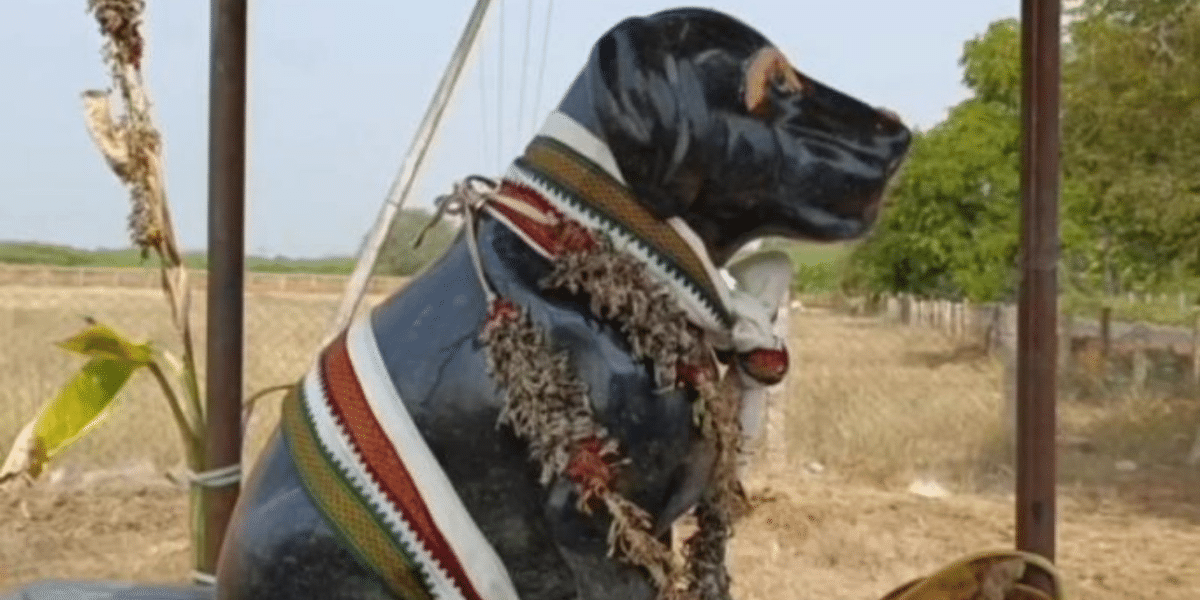 82-year-old from Tamil Nadu built a Temple in memory of his dog (with photos)