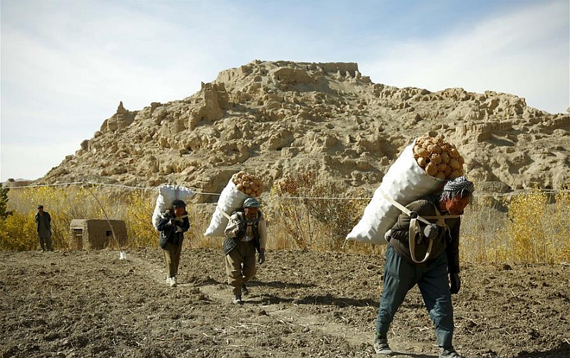 More than 7,600 farmers receive assistance in Afghanistan’s Bamiyan province