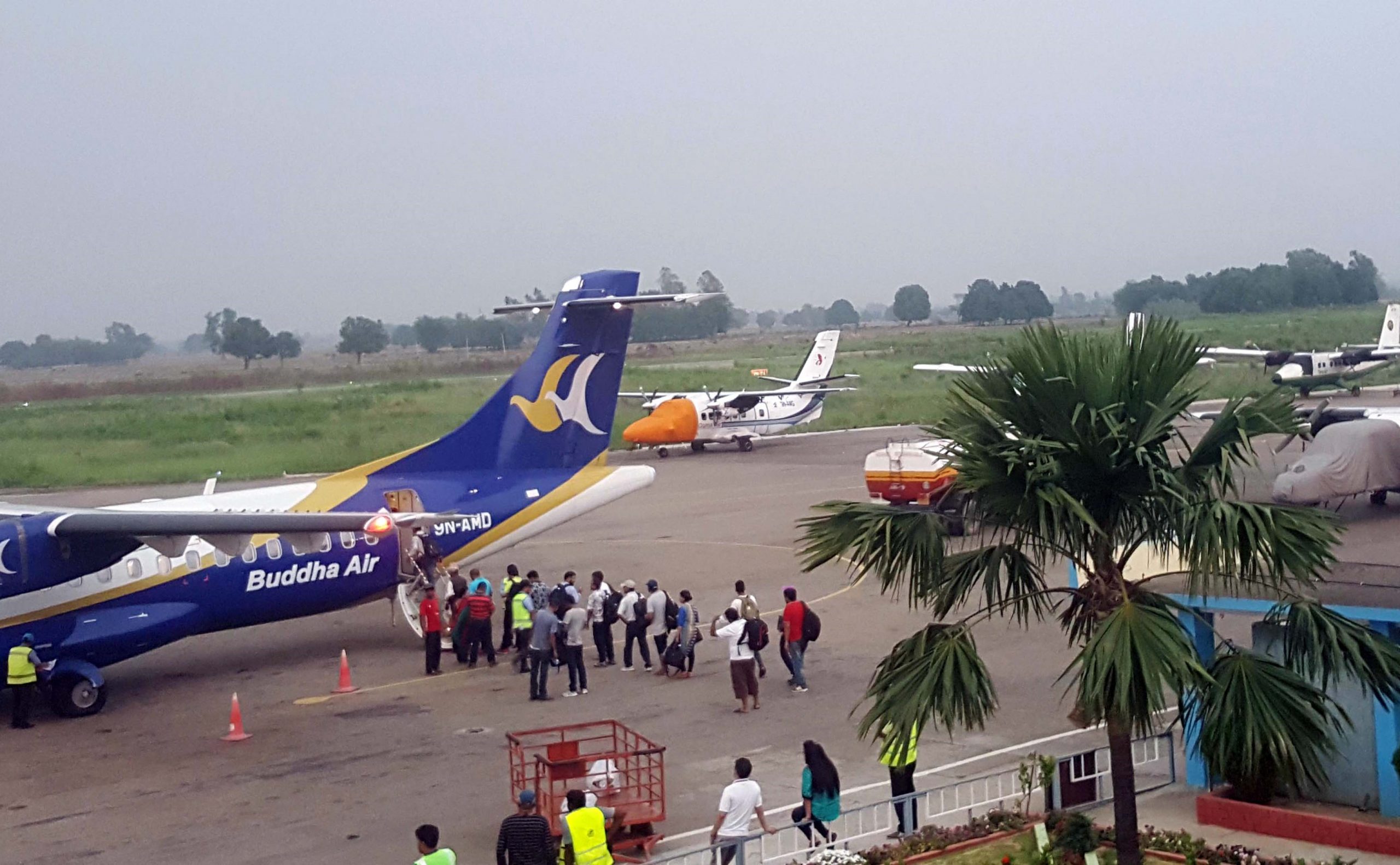 A rabbit crashed into Buddha’s plane