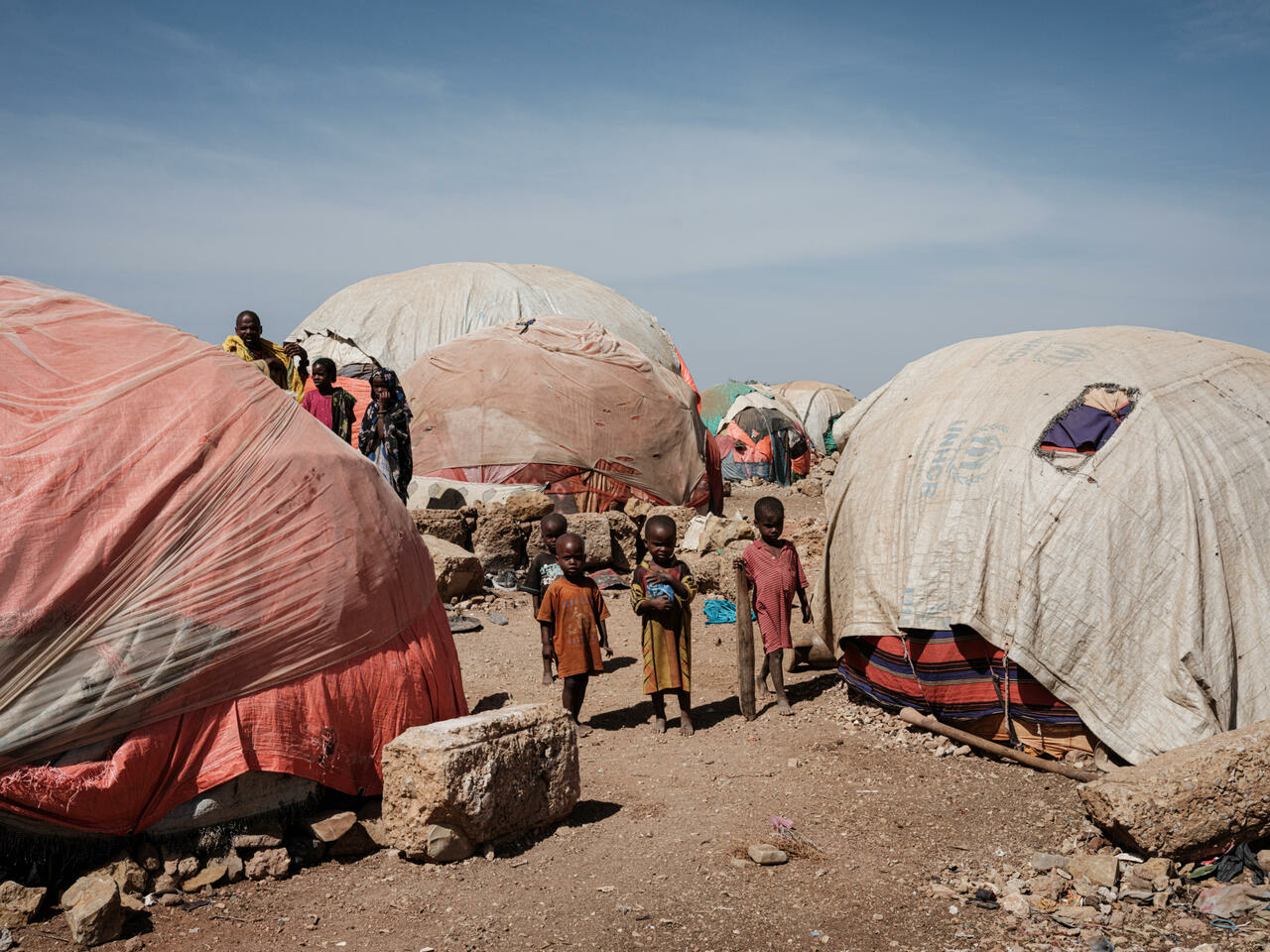 Millions of Somalis at risk of famine: UN agencies