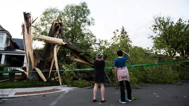 Thunderstorm in Canada leaves eight people dead, utilities face power outages