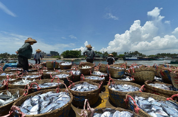 China kicks off annual summer fishing ban in South China Sea