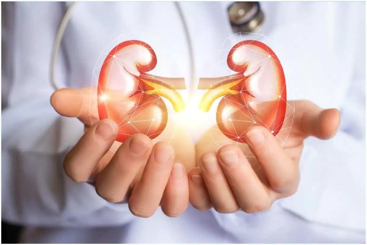 World Kidney Day observed