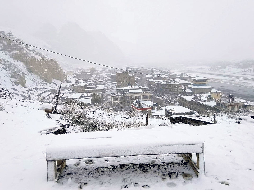 Snowfall affects collection of yarsagumba in Manang